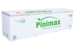Tủ đông Pinimax PNM-119AF