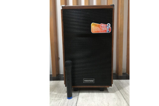 Loa kéo di động CN-1281 (Bass 12", 1 Micro)