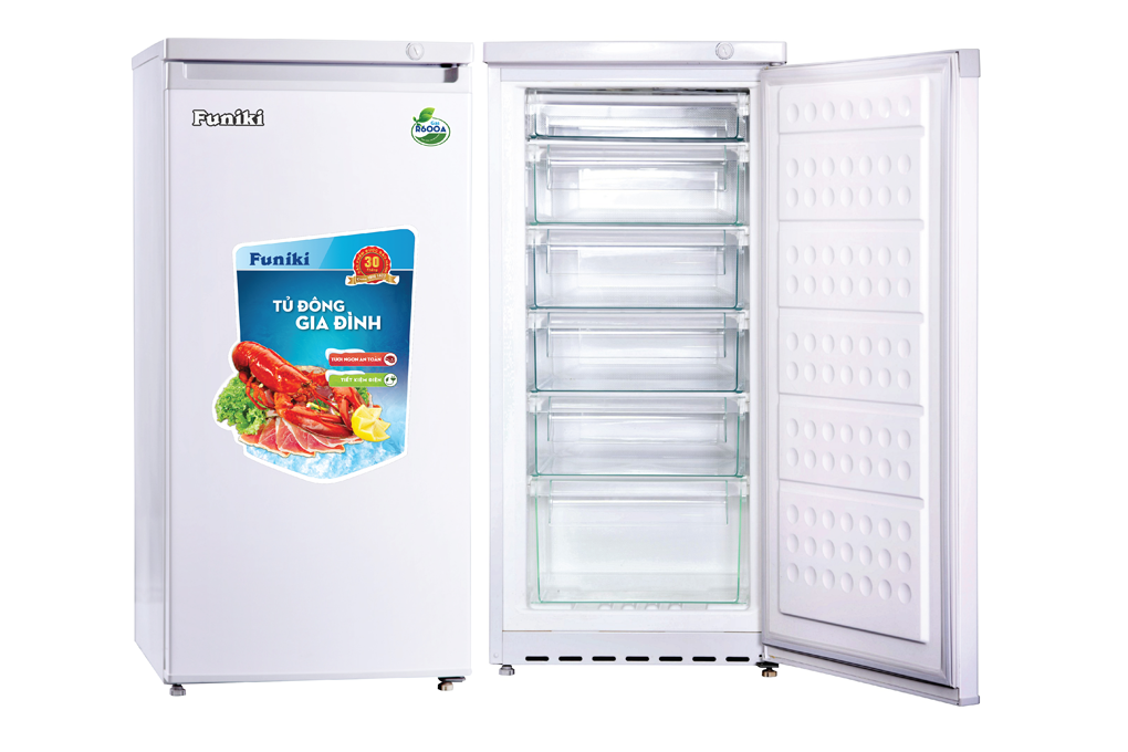 Tủ đông đứng Hòa Phát HSC166S