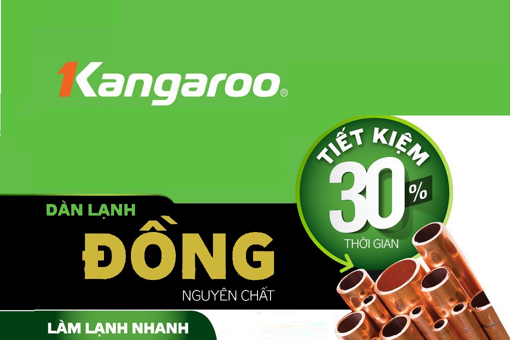 Tủ đông kháng khuẩn Kangaroo KG688C2