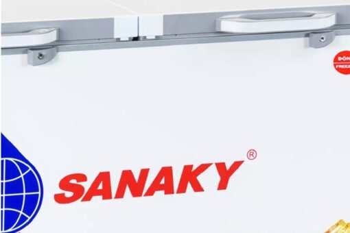 Tủ đông Sanaky VH-6699W2K
