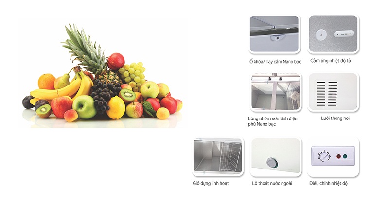 Tủ đông kháng khuẩn Kangaroo KG668VC1