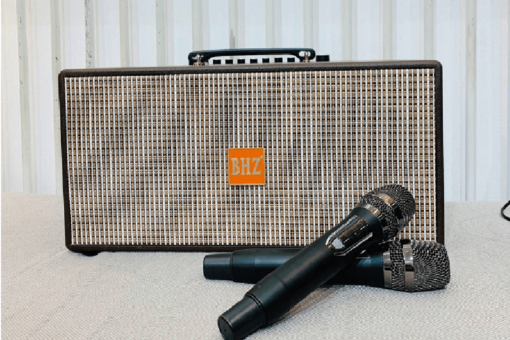 Loa Karaoke Bluetooth BHZ T16