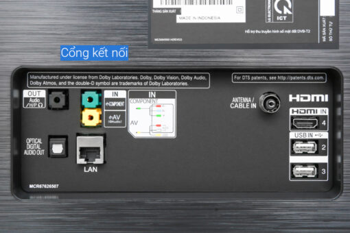 Smart Tivi OLED LG 4K 65 inch 65C9PTA