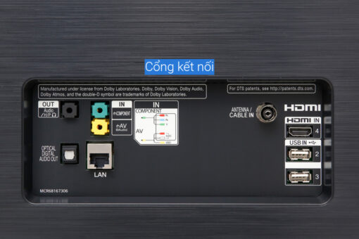 Smart Tivi OLED LG 4K 77 inch 77C9PTA