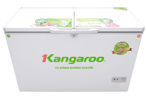 Tủ đông Kangaroo 256 lít KG 398C2