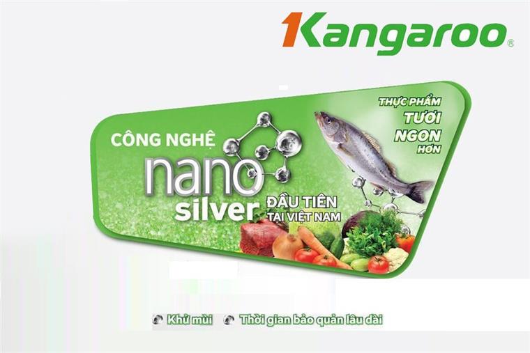 KG168NC1