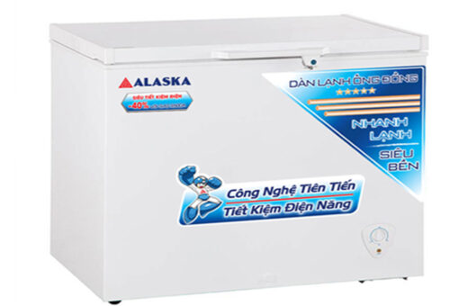 Tủ đông Alaska 200 lít BD-200C
