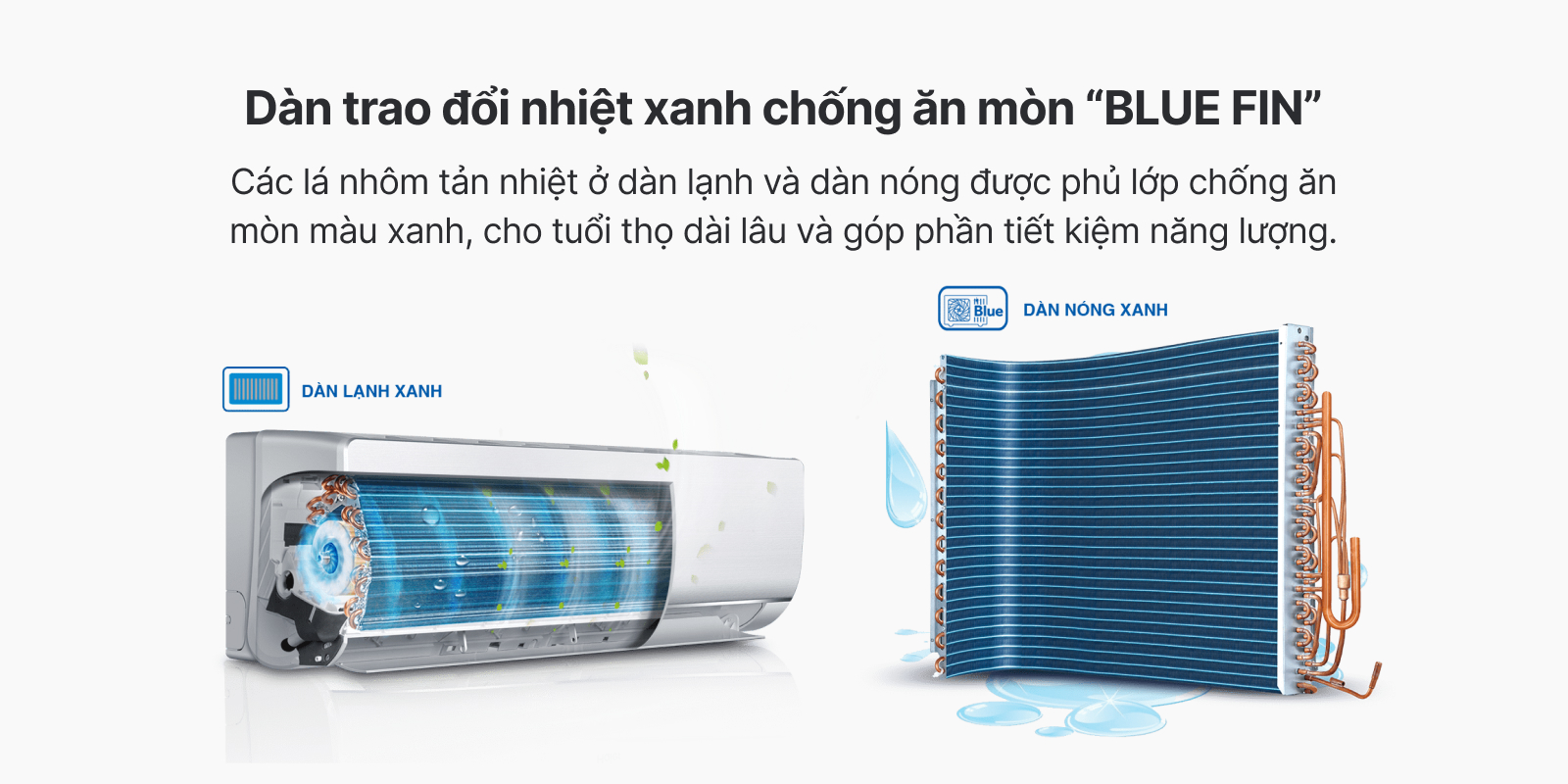 BLUE FIN