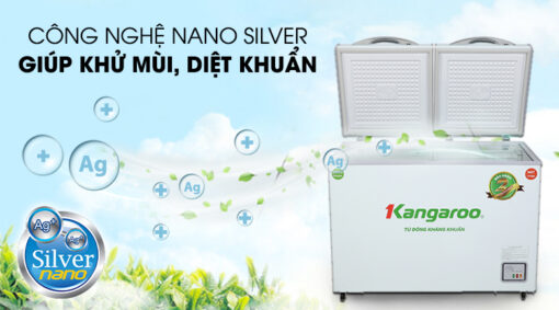 Tủ đông Kangaroo 192 lít KG 266NC2