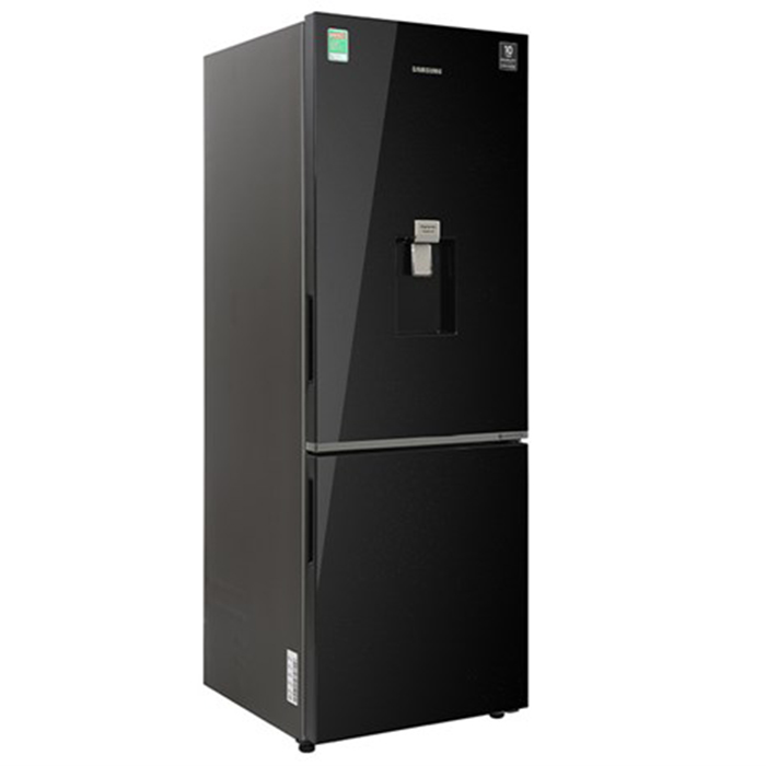 Tủ lạnh Samsung Inverter 307 lít RB30N4190BU/SV