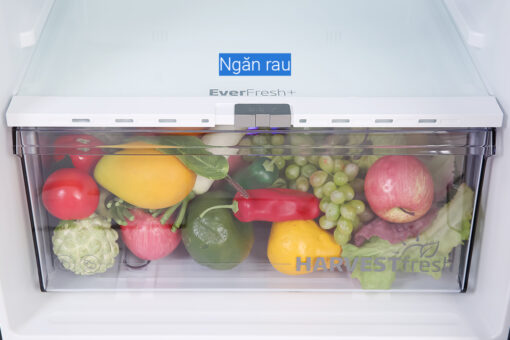 Tủ lạnh Beko Inverter 340 lít RDNT371E50VZGB