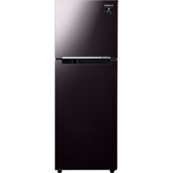 Tủ lạnh Samsung Inverter 236 lít RT22M4032BY/SV