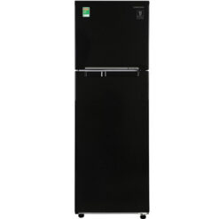 Tủ lạnh Samsung Inverter 256 lít RT25M4032BU/SV