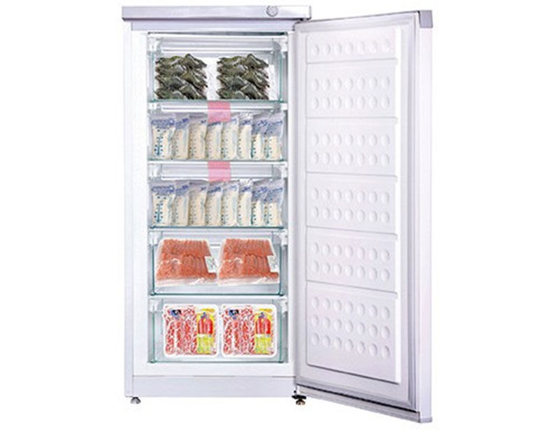 Tủ đông đứng Hòa Phát HUF-350SR1