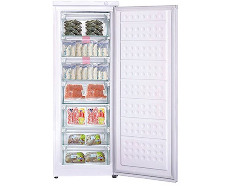 Tủ đông đứng Hòa Phát HUF-450SR1