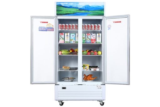 Tủ mát Sanaky 1000 lít VH-1009HP