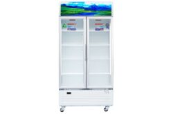 Tủ mát Sanaky 900 lít Inverter VH-1009HP3