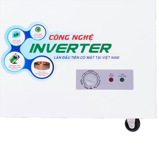 Tủ đông Sanaky Inverter 400 lít VH-4099A3