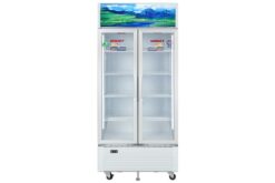 Tủ mát Sanaky 700 lít VH-8009HP