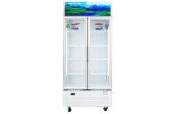 Tủ mát Sanaky Inverter 700 lít VH-8009HP3
