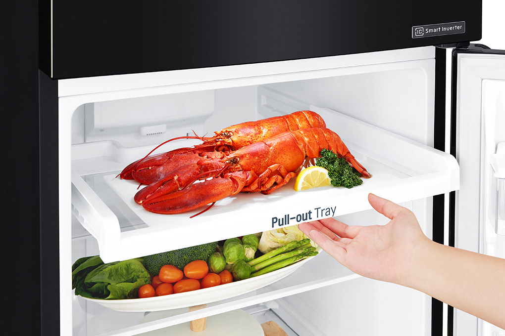 Tủ lạnh LG Inverter 209 lít GN-B222WB