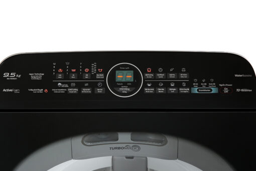 Máy giặt Panasonic 9.5 KG NA-FD95X1LRV