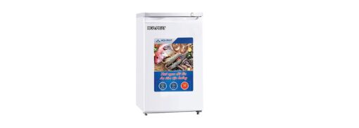 Tủ đông đứng Hòa Phát HUF 300SR1 / HPF UAH6106 (106L)
