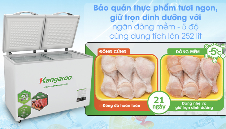 Tủ đông mềm Kangaroo 252L KG408S2
