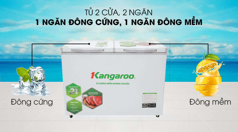 Tủ đông mềm Kangaroo 252L KG408S2