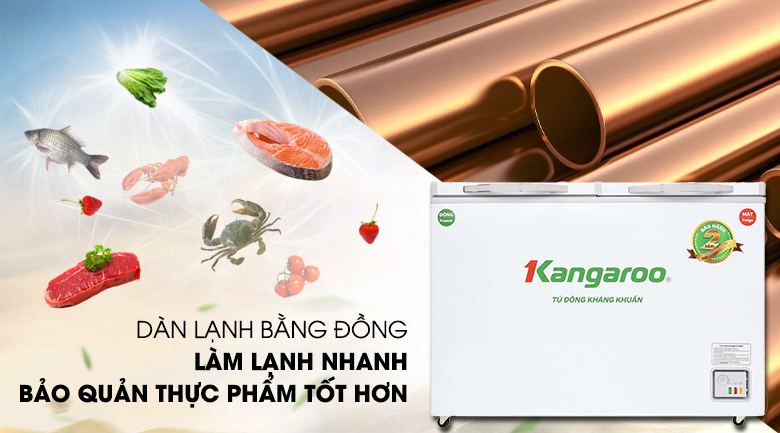 Tủ đông Kangaroo 252 lít KG 400NC2