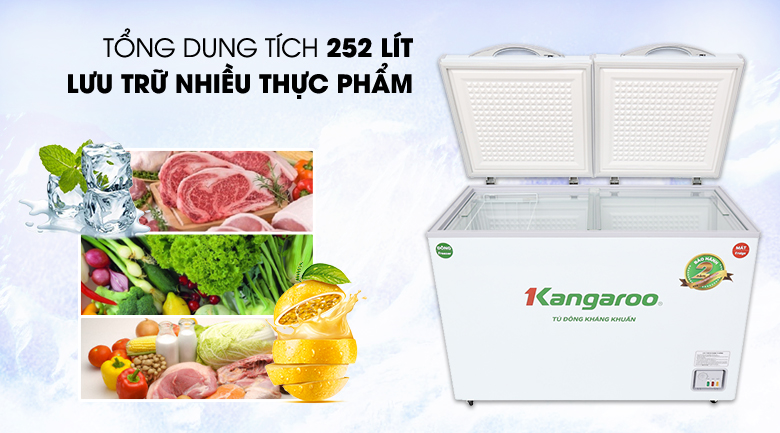 Tủ đông Kangaroo 252 lít KG 400NC2