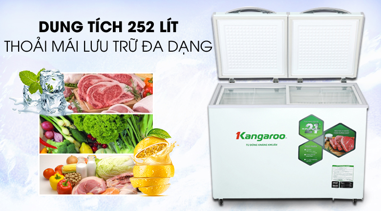 Tủ đông mềm Kangaroo 252 lít KG 400DM2