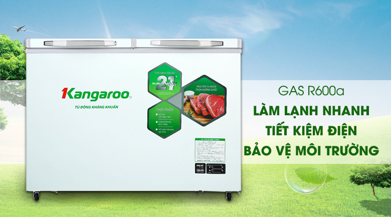 Tủ đông mềm Kangaroo 252 lít KG 400DM2