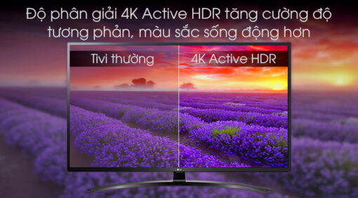 Smart Tivi LG 4K 43 inch 43UM7400PTA