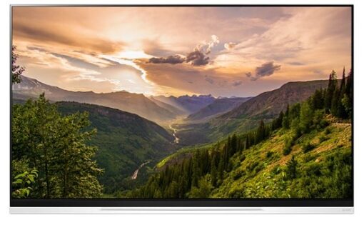 Smart Tivi OLED LG 4K 65 inch 65E9PTA