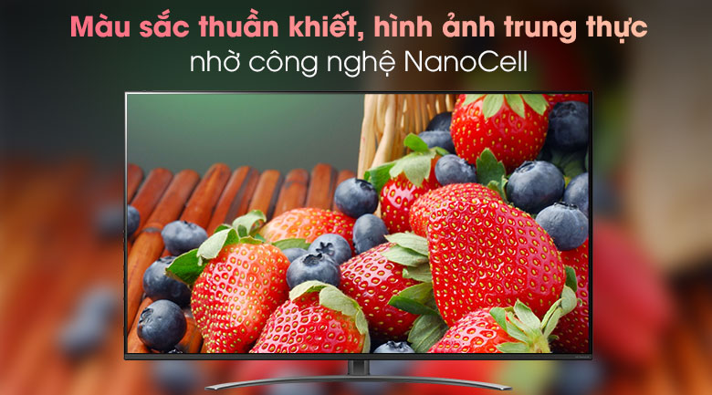 65NANO81TNA
