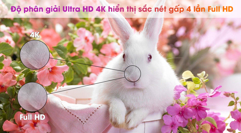 Smart Tivi NanoCell LG 4K 75 inch 75NANO79TND