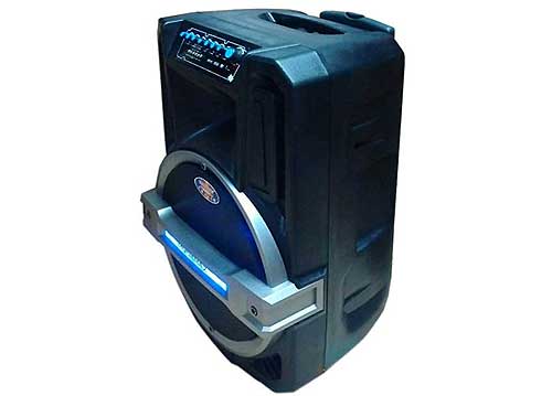 Loa Kéo Di Động Ronamax T15