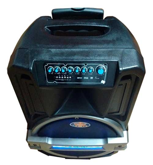 Loa Kéo Di Động Ronamax T15