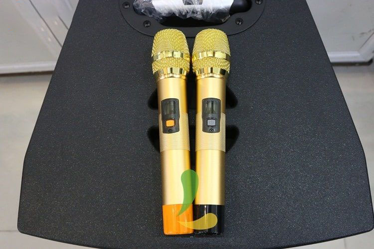 Loa kéo di động Nanomax SK-15A6