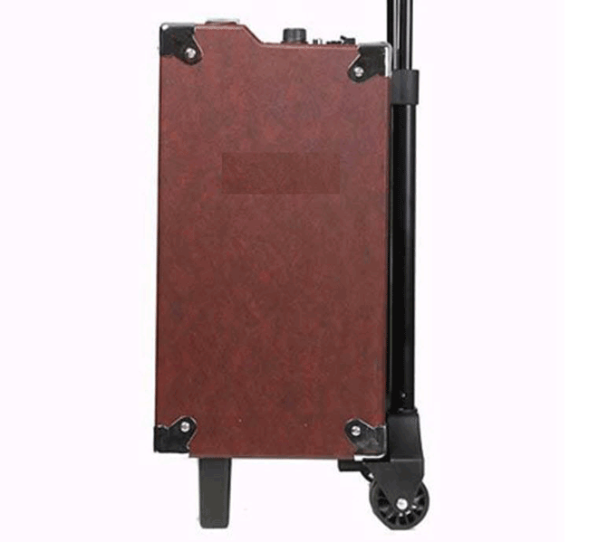 Loa Kéo Temeisheng Q10S
