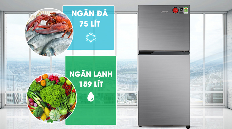 Tủ lạnh Panasonic Inverter 234 lít NR-BL26AVPVN