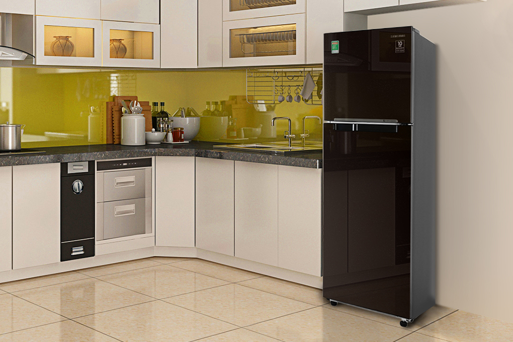 Tủ lạnh Samsung Inverter 256 lít RT25M4032BY/SV