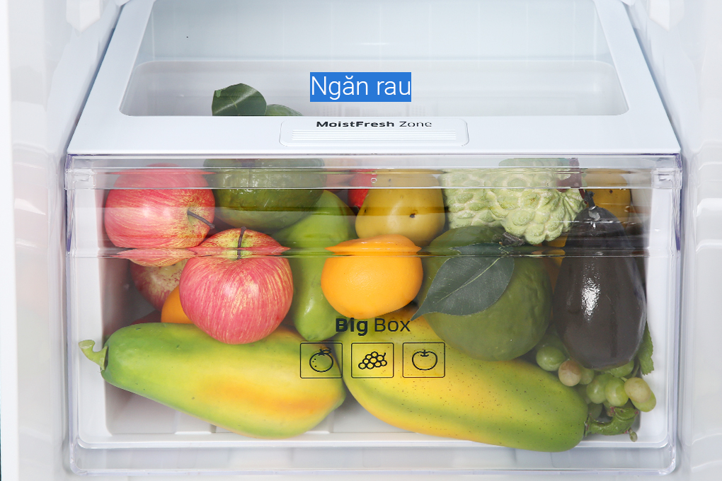 Tủ lạnh Samsung Inverter 256 lít RT25M4032BY/SV