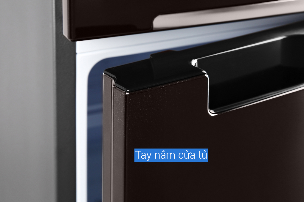 Tủ lạnh Samsung Inverter 256 lít RT25M4032BY/SV