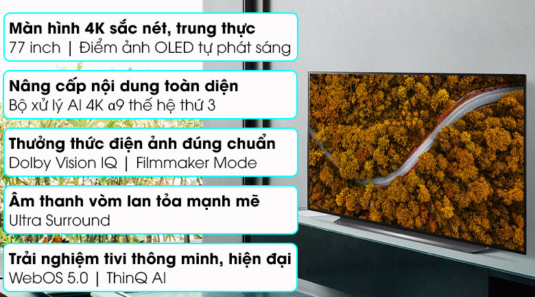 Smart Tivi OLED LG 4K 77 inch 77CXPTA