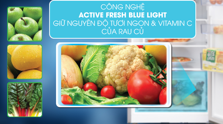 RDNT251I50VWB