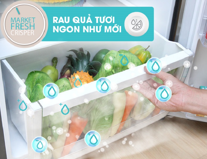 Tủ lạnh Electrolux Inverter 317 lít ETB3200GG