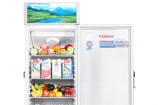Tủ mát Sanaky 300 lít VH-308KL